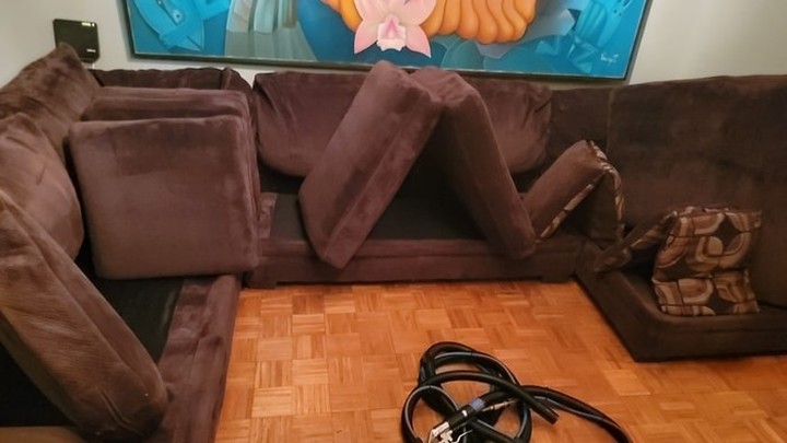 perro orina en el sofá